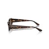 Vogue Eyewear Woman Sunglasses Dark Havana Frame, Dark Brown Lenses,