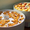 GUCUJI Pack of 5 Premium Non stick Round Silicone Dehydrator