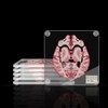 Timethink (Set of 10) 4'' 3D Brain Specimen Coasters, Funny
