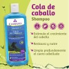 Shampoo Cola De Caballo Y Keratina Crecimiento Capilar
