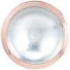 Endo Shoji QUD03030 TKG Udonsuki Pot, 11.8 inches (30 cm),