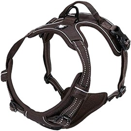 Truelove TLH5651 Outdoor Dog Harness, l