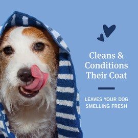 PetArmor Flea & Tick Protection Oatmeal Shampoo for Dogs, Hawaiian Ginger Scent, 18 oz