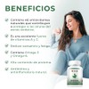 Bio B | Moringa 60 cápsulas veganas | Antioxidante, Antiinflamatorio.