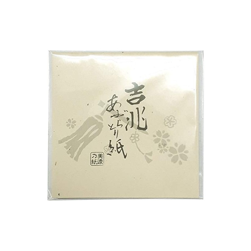 Kiccho Mino Nogami Oil Blotting Paper K21-5