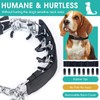 Adjustable Training Collar with Quick Release Buckle, No Pull Dog