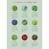 10x Concentrated Aomori Hiba Oil & 100ml (Hiba, Eucalyptus, Peppermint,