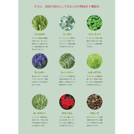 10x Concentrated Aomori Hiba Oil & 100ml (Hiba, Eucalyptus, Peppermint, Citronella, Lavender, Tea Tree, Lemongrass, Rosemary, Geranium, Clove)