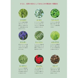 10x Concentrated Aomori Hiba Oil & 100ml (Hiba, Eucalyptus, Peppermint, Citronella, Lavender, Tea Tree, Lemongrass, Rosemary, Geranium, Clove)