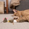 Mousy Mayhem 2-Piece Compressed Catnip Mice Cat Toys, Pink &