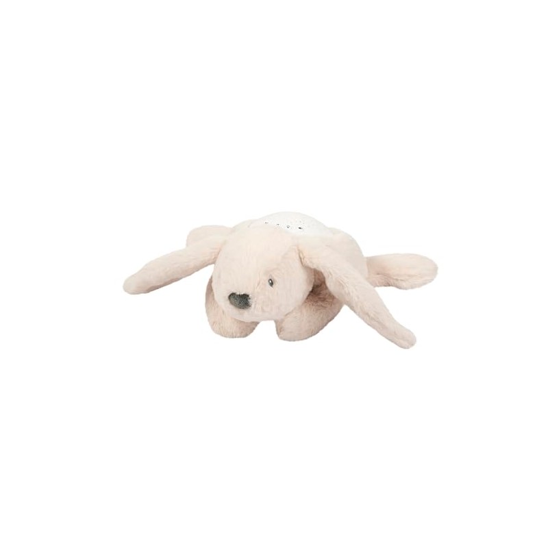 Nattou LED-Nachtlicht Koala-Bär, Sternhimmel-Projektor, 3 LED-Farben, 5 Klänge und Lieder,