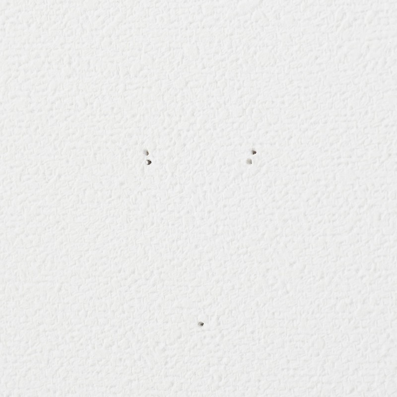 MUJI 82944815 Wall Mounted Furniture Tray Oak Veneer