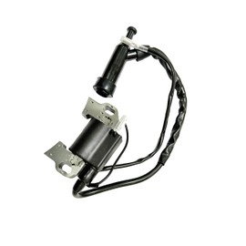 Ignition Coil With Spark plug for Titan TG6500 6500 TG6500ES TG7500M TG8000 TG8500M TG8500RC TG9000ES Generator