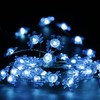 Impress Life Bay Marina Theme Ocean String Lights, 40 LEDs