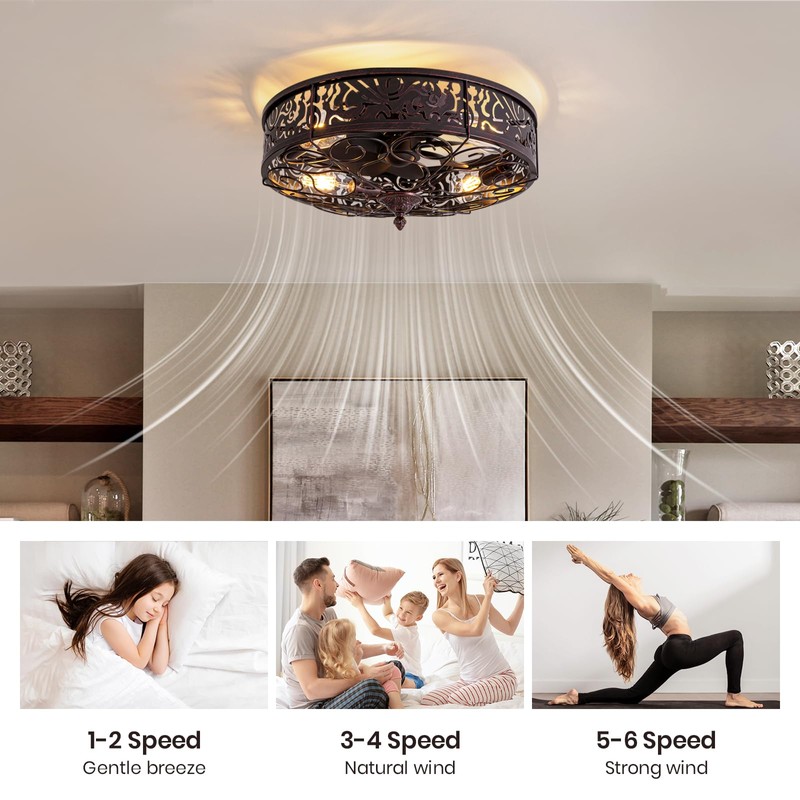 MOOONICHE 20" Ceiling Fan with Light and Remote, Farmhouse Bladeless