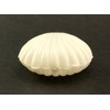 2.5 Inch White Plastic Seashell Clam Shell Party Favors Bulk