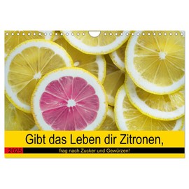 Gibt das Leben dir Zitronen, frag nach Zucker und Gewürzen! (Wandkalender 2025 DIN A4 quer), CALVENDO Monatskalender [Calendar] Rose Hurley