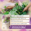 Ammonium Sulfate 21-0-0 Fertilizer, High Nitrogen for Rapid Plant Growth