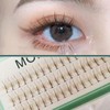 홀리지D 가닥속눈썹 자연스러운 브라운컬러 셀프 속눈썹 Holigee D Strand Eyelashes Natural Brown Color Self Eyelashes