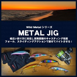 Wild Scene Metal Jigs, Throw Jigs, Set of 5, Assist Hooks, Equipment