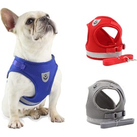 DARENYI Small Dog Harness and Lead Adjustable Dog Harnesses, Dog Vest Harness and Lead for Walking, Mesh Breathable Comfortable Puppy Harness for Small Dogs (Size M, Grey)