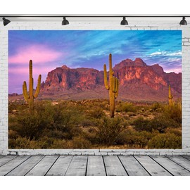 BELECO 8x6ft Fabric Arizona Desert Backdrop for Photography Western Party Decor Blue Sky Sand Dunes Prickly Cactus Saguaro Wilderness Mountain Background Cowboys Children Adult Portrait Photo Shoot
