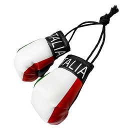 NYTKL 1 Pair Mini Boxing Gloves for Car Mirror, Novelty Miniature Punching Gloves Automobile Mirror Hanging Accessories, Christmas Ornament Car Interior Mirror Accessories (Italy)