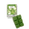 ScentSationals Cucumber Melon Cubes 2.5 oz
