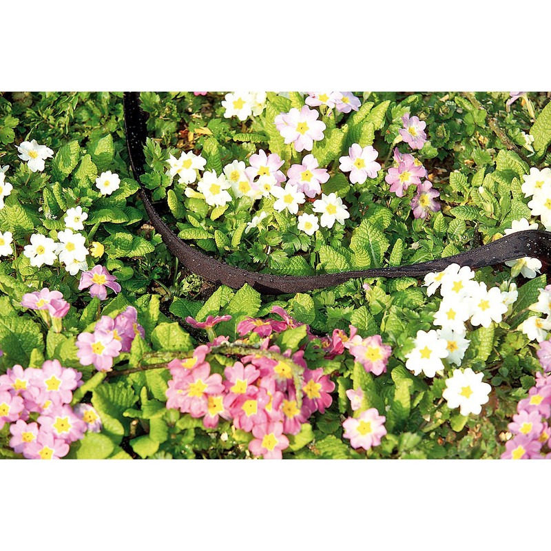 Royal Gardineer Drip Hose: Pearl Hose Eco 12 m Pack