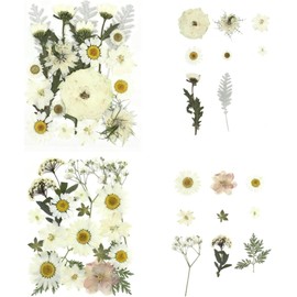 80 piezas de flores prensadas, flores secas blancas flores naturales prensadas a granel para moldes de resina, arte de uñas, álbumes de recortes, portavelas, fabricación de joyas, kit de