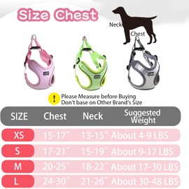 No Pull Dog Harness with Leash Set Grey All Weather Mesh Adjustable Step in Reflective Escape Proof Vest Harness for Small and Medium Dogs Puppy,Large Cat S