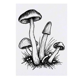 Large 'Wild Mushrooms' Temporary Tattoo (TO00075359)