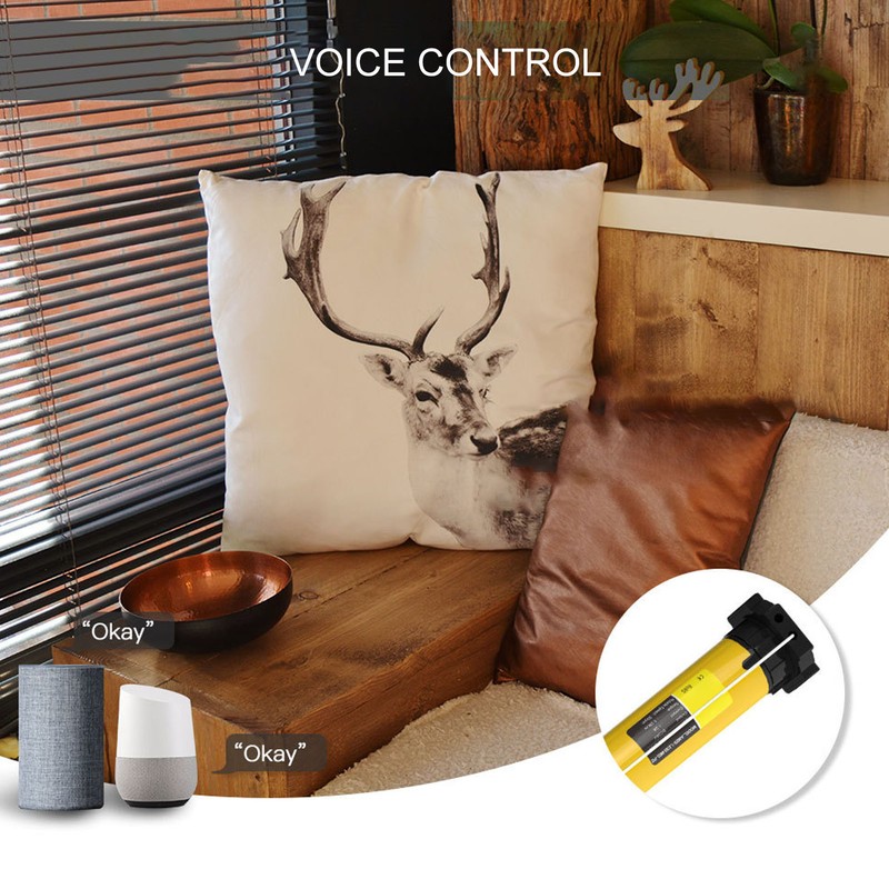 Smart Roller Shade Blind Motor Lithium Battery Rechargeable APP Voice