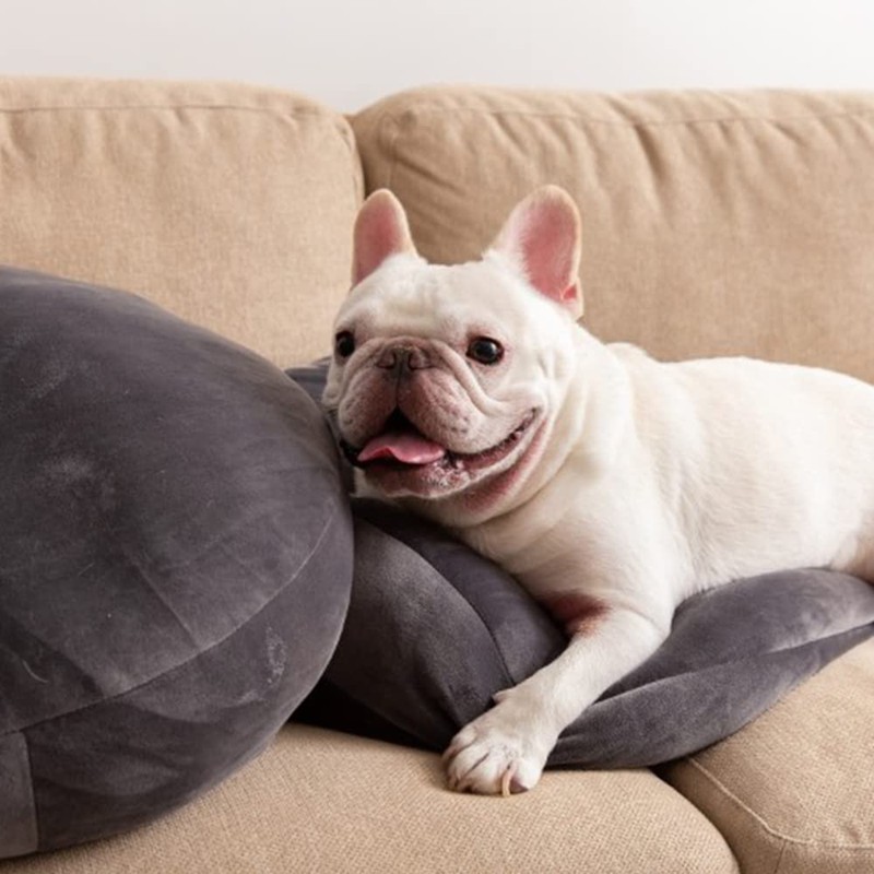 YouYouWu YuuYA抱き枕丸型座布団ラウンドクッション もちもちクッション マシュマロ フロアクッション なめらか かわいい ペットクッション直径４０ｃｍ５５ｃｍ (グレー)