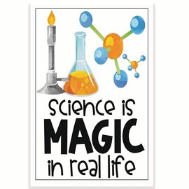 Science Is Magic In Real Life Classroom Poster - Science Class Poster - 12 x 18 Inch - Classroom Decor - Classroom Must Haves - Back To School Decor - CPS0515