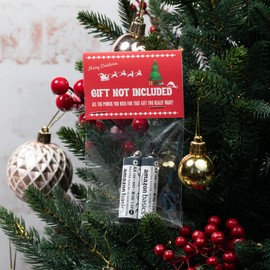 Gift Not Included Batteries Gag Gift - Funny Prank for Present Adults for Women Men - Stocking Stuffer for Him Her Boyfriend Girlfriend