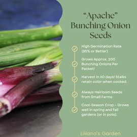 “Apache” Red Bunching Onion Seeds – aka Red Scallion or Salad Onion | Heirloom Seeds by Liliana's Garden |