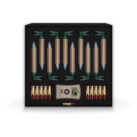 Krinner 74245 LUMIX DELUXE Basis-Set Champ IR, 10 champagnerfarbene, kabellose LED-Christbaumkerzen mit Infrarot-Fernbedienung & Batterien, in warm-weißen Licht