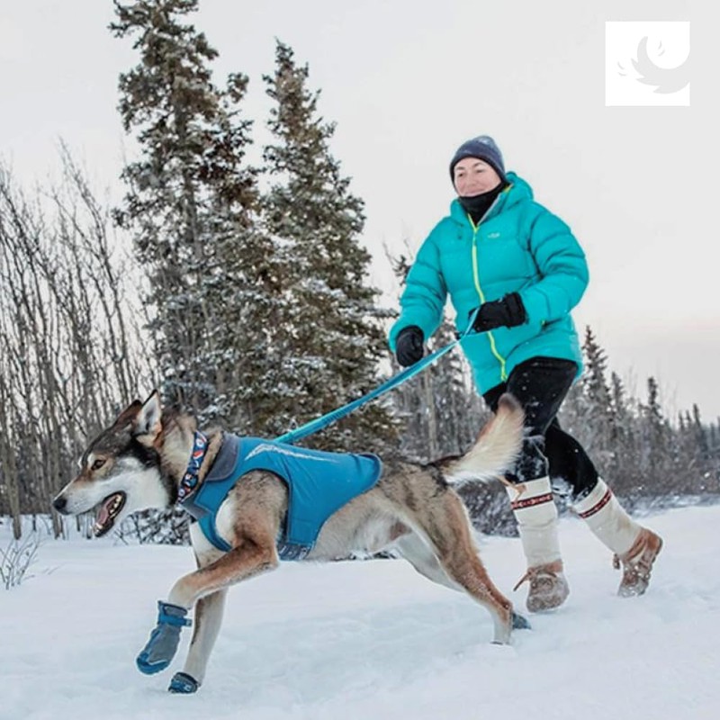 RC Pets Comfortable, Adjustable, Softshell Arctic Dog Boots | X-Small,