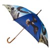 Umbrella Eagle, Automatic Umbrella, Stick Umbrella, Umbrella, Birds, Animals, blue