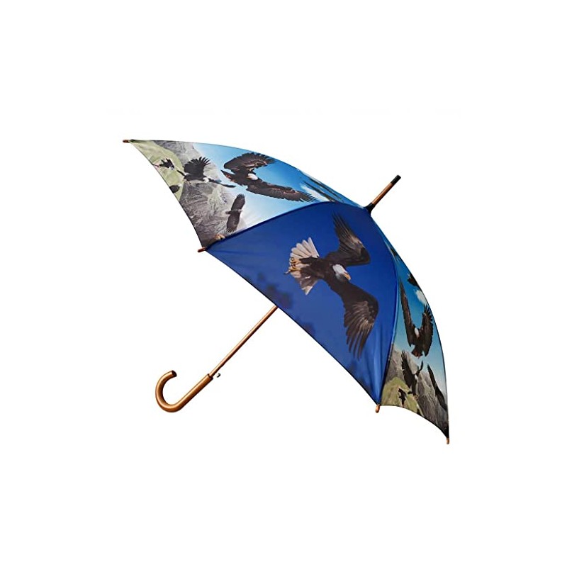 Umbrella Eagle, Automatic Umbrella, Stick Umbrella, Umbrella, Birds, Animals, blue