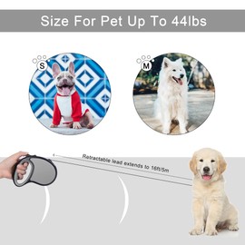 Beaface Retractable Dog Lead for Small Medium Dogs Up to 20KG, Retractable Dog Leads 16ft/5M, Extendable Dog Leads with Anti-Slip Handle, Anti-Tangled Strong Nylon Tape (Grey)