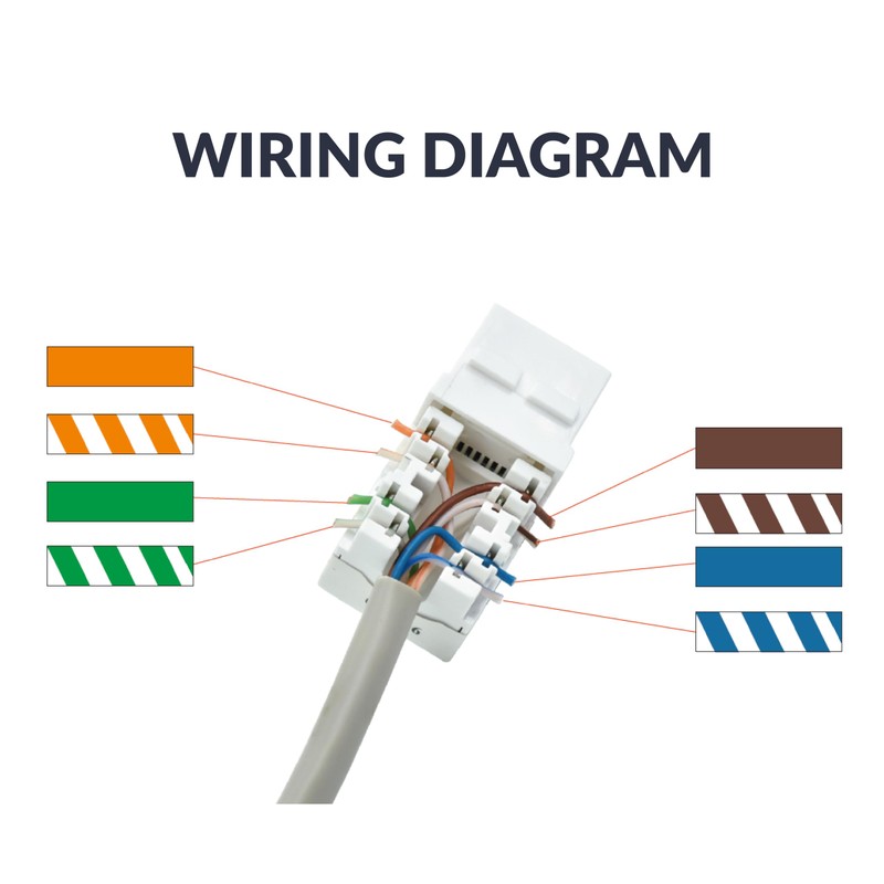 Newhouse Hardware Ethernet Wall Plate, White, 1-Pack