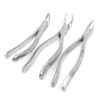 AAPROTOOLS 1+1+1 Dental EXTRACTING Forceps Dental Instruments #150+151+23 A+ Quality