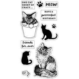 Fiskars 4x8 Inch Clear Stamps-Friends Furever, Black