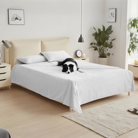 DUJUIKE Velvet Bed Cover, Waterproof Sheet Cover, 100% Waterproof Pet Blanket, Breathable, Luxurious Ultra Soft Cozy Warm, Suitable for All Seasons, Protects Sofa Bed (White, Queen 78 * 90 inch)