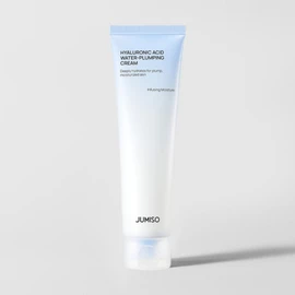 Hyaluronic Acid Water Plumping Moisture Cream 100ml / 히알루론산 워터 플럼핑 수분 크림 100ml