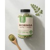Moringa Nopal y Cromo Raíces Zen 120 Cápsulas (120 Cápsulas)