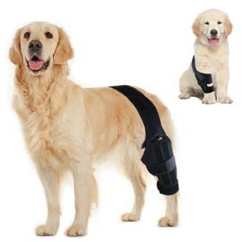 Petmingham Dog Knee Brace for ACL, Knee Cap Dislocation, Arthritis - Joint Pain, Muscle Sore - Better Recovery - Reduces Pain and Inflammation -Adjustable Dog Rear Leg Braces (Size: XS)