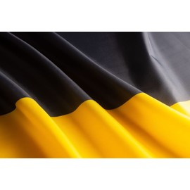 PHENO FLAGS Baden-Württemberg Flag - Federal State Flag with Brass Eyelets - 90 x 150 cm - Weatherproof Flags for Flagpole - 100% Polyester